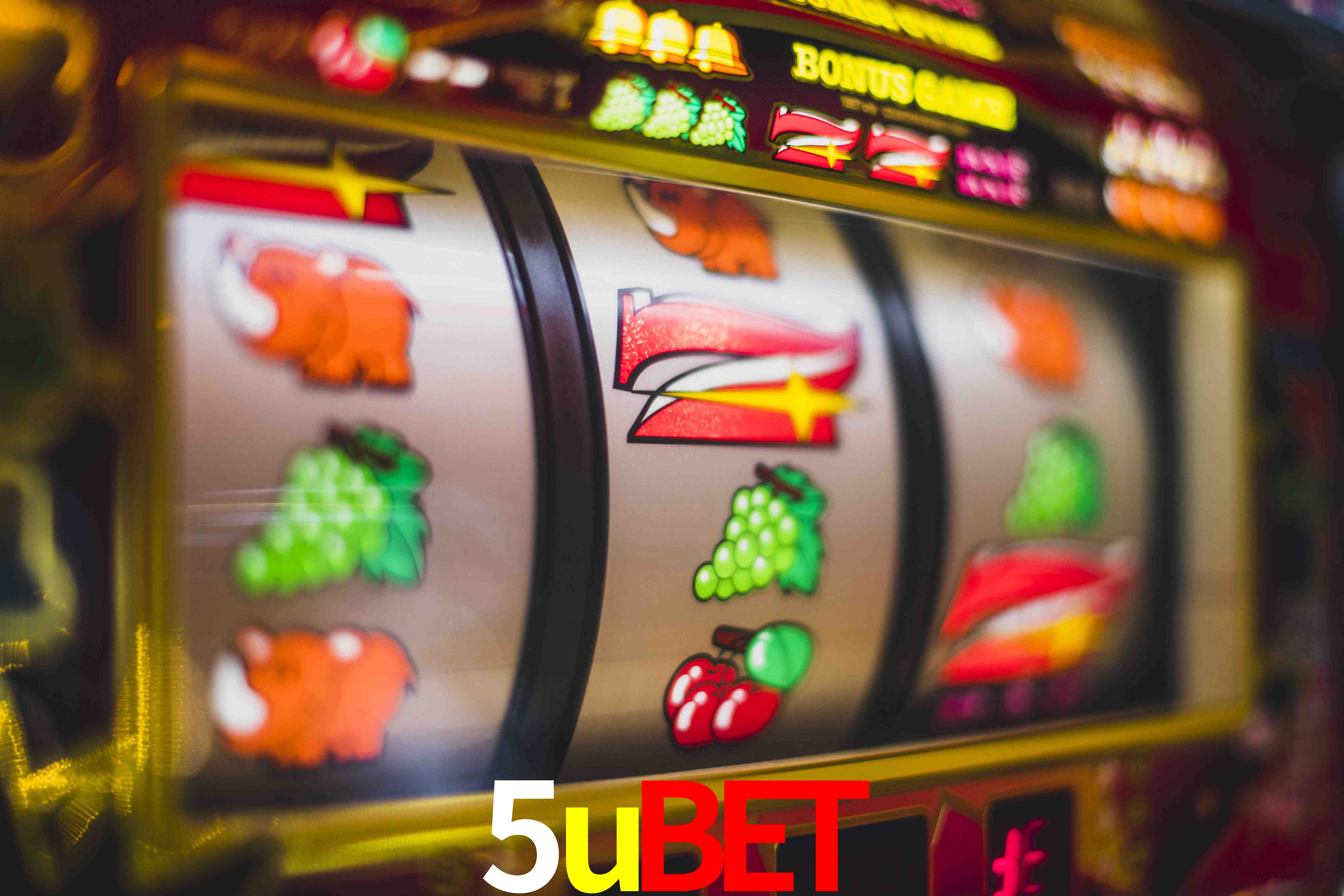 Tennis Betting 5ubet